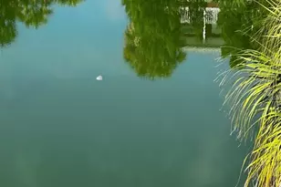 3185 Rose Arbor Dr, Hernando Beach, FL 34607 - Photo 39