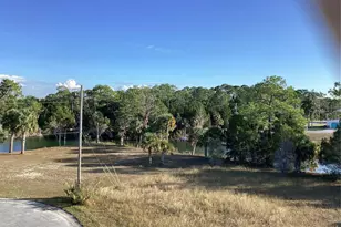 3185 Rose Arbor Dr, Hernando Beach, FL 34607 - Photo 41