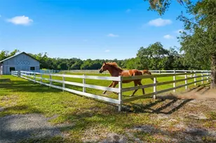 14315 Family Trail, Hudson, FL 34669 - Photo 3