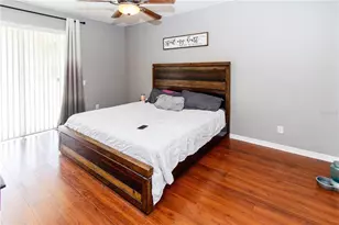 27211 Liriope Ct, Wesley Chapel, FL 33544 - Photo 11