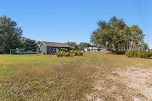 14721 Scharber Rd, Dade City, FL 33525 - Photo 7