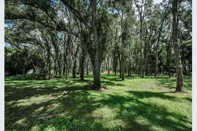 4635 Cobb Road, Land O Lakes, FL 34638 - Photo 5