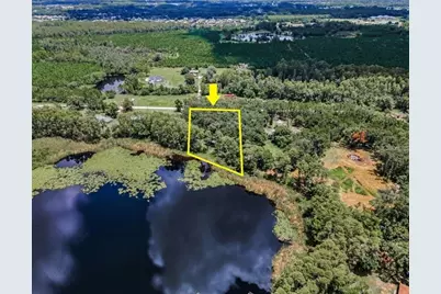 4635 Cobb Road, Land O Lakes, FL 34638 - Photo 1