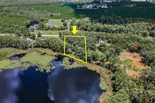 4635 Cobb Rd, Land O Lakes, FL 34638 - Photo 1