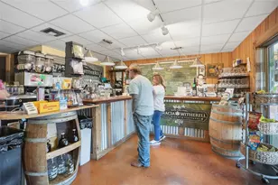 21509 Snow Hill Rd, Brooksville, FL 34601 - Photo 5