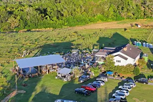 21509 Snow Hill Rd, Brooksville, FL 34601 - Photo 39