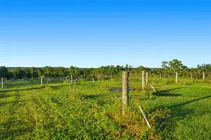 21509 Snow Hill Rd, Brooksville, FL 34601 - Photo 33