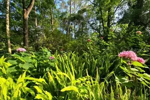 5043 Goodwin Rd, Brooksville, FL 34601 - Photo 45