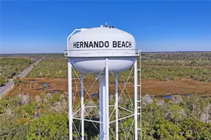 3270 Hibiscus Dr, Hernando Beach, FL 34607 - Photo 75