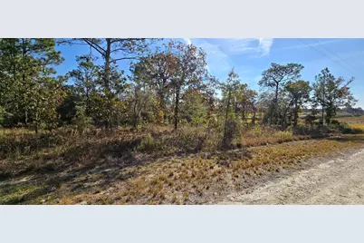 16392 Curlew Road, Brooksville, FL 34614 - Photo 5