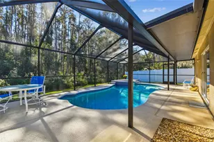 29228 Birds Eye Dr, Wesley Chapel, FL 33543 - Photo 43