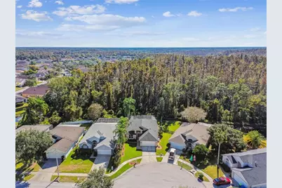 29228 Birds Eye Drive, Wesley Chapel, FL 33543 - Photo 51