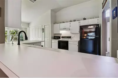 29228 Birds Eye Drive, Wesley Chapel, FL 33543 - Photo 19