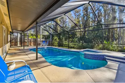 29228 Birds Eye Drive, Wesley Chapel, FL 33543 - Photo 45