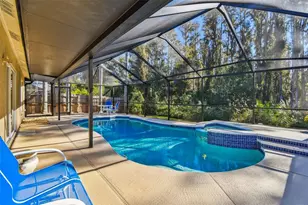 29228 Birds Eye Dr, Wesley Chapel, FL 33543 - Photo 45