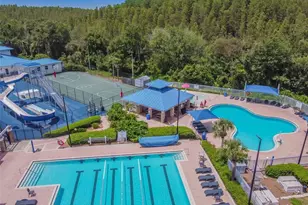 29228 Birds Eye Dr, Wesley Chapel, FL 33543 - Photo 61