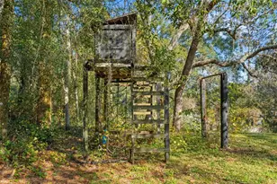 4877 Merlin Cir, Dade City, FL 33523 - Photo 53