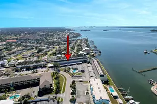 433 S Paula Dr, Dunedin, FL 34698 - Photo 55