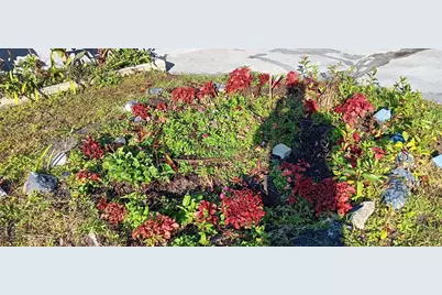 1440 SE 23rd Avenue, Gainesville, FL 32641 - Photo 17