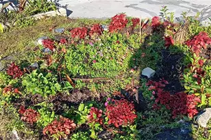 1440 SE 23rd Ave, Gainesville, FL 32641 - Photo 17