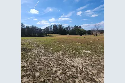 832 E Dunbar Lane, Hernando, FL 34442 - Photo 3