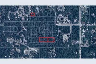 0 Rock Duck Avenue, Weeki Wachee, FL 34614 - Photo 1