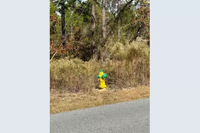 220 Linder Drive, Homosassa, FL 34446 - Photo 5