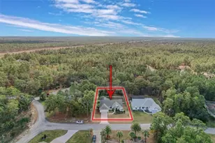 11 Maidenbush Ct E, Homosassa, FL 34446 - Photo 75