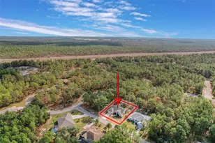 11 Maidenbush Ct E, Homosassa, FL 34446 - Photo 71