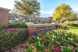 17446 Queensland St, Land O Lakes, FL 34638 - Photo 61