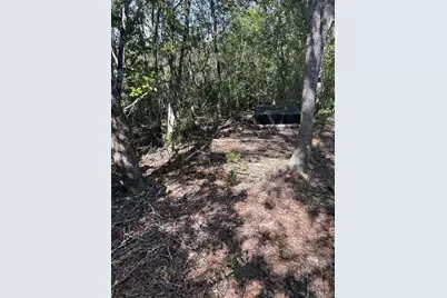 7740 E Smoke Trail, Inverness, FL 34453 - Photo 5