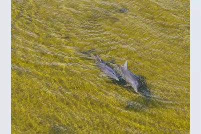 3461 Cyclone Drive, Weeki Wachee, FL 34607 - Photo 13