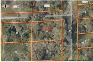 23216 Selkirk Ave, Brooksville, FL 34601 - Photo 1