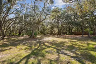 11185 Cleever St, Weeki Wachee, FL 34614 - Photo 45