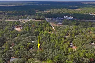 11185 Cleever St, Weeki Wachee, FL 34614 - Photo 59