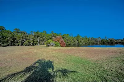 10101 Mizner Street, New Port Richey, FL 34655 - Photo 61