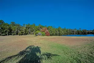 10101 Mizner St, New Port Richey, FL 34655 - Photo 61