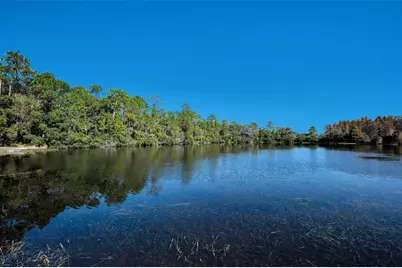 10101 Mizner Street, New Port Richey, FL 34655 - Photo 63