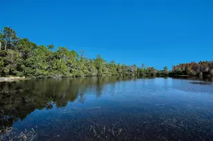 10101 Mizner St, New Port Richey, FL 34655 - Photo 63