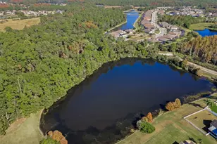 10101 Mizner St, New Port Richey, FL 34655 - Photo 29