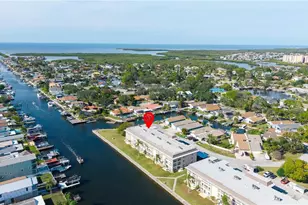 4452 Garnet Dr, New Port Richey, FL 34652 - Photo 27