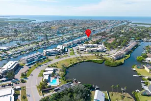 4452 Garnet Dr, New Port Richey, FL 34652 - Photo 41