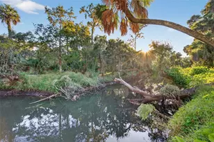 6350 Lost Trail, Holiday, FL 34690 - Photo 9