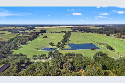 8955 Fort King Road, Zephyrhills, FL 33541 - Photo 11