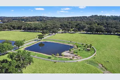 8955 Fort King Road, Zephyrhills, FL 33541 - Photo 17