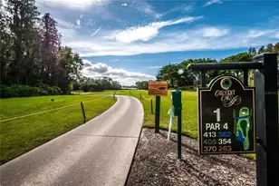 1320 Lindenwood Dr, Tarpon Springs, FL 34688 - Photo 61