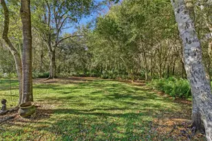 1320 Lindenwood Dr, Tarpon Springs, FL 34688 - Photo 5