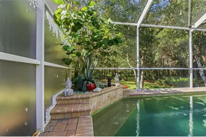 1320 Lindenwood Drive, Tarpon Springs, FL 34688 - Photo 37