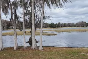 1425 S Homestead Point, Inverness, FL 34450 - Photo 51