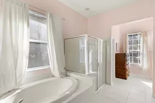 26249 Sword Dancer Dr, Wesley Chapel, FL 33544 - Photo 9